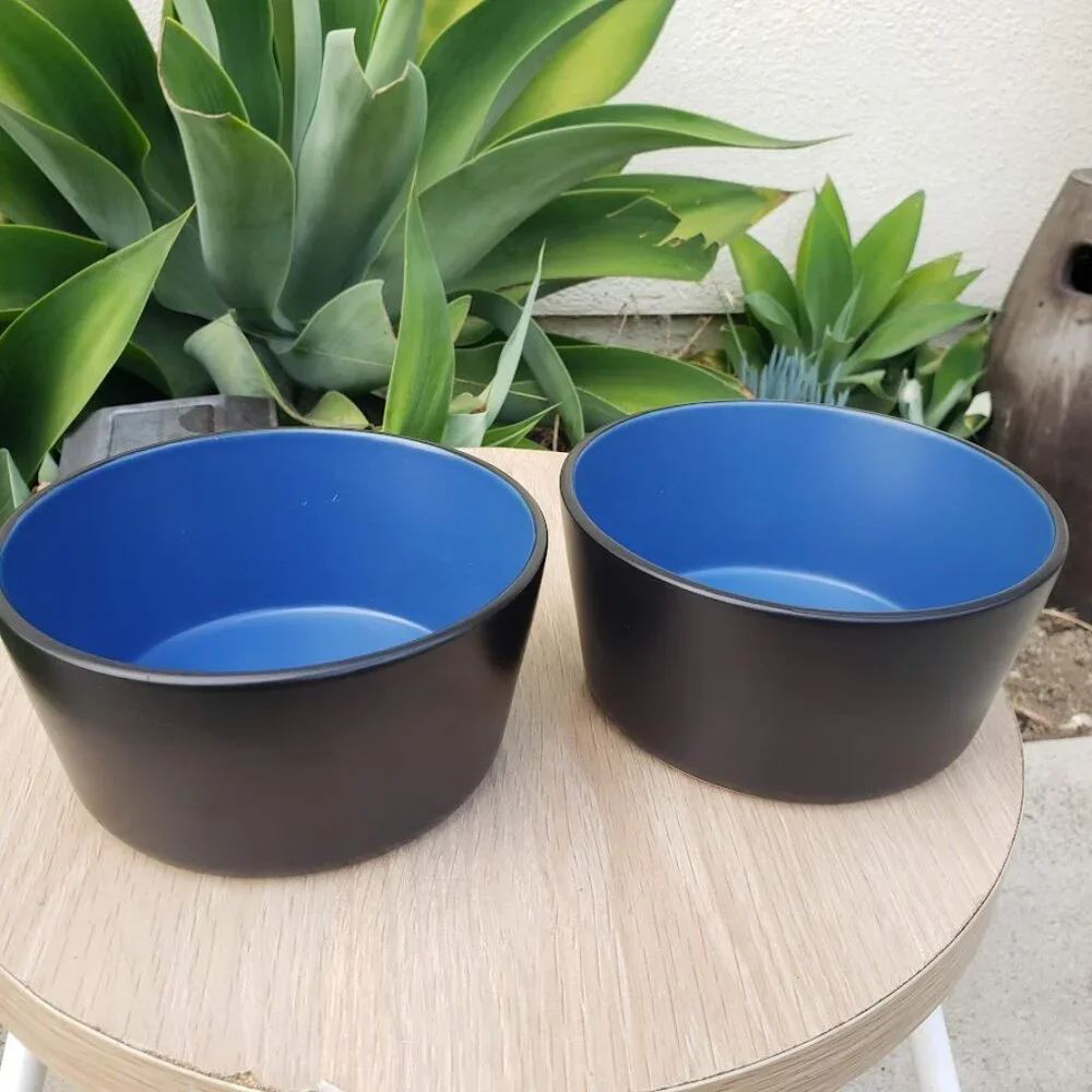NEW Stone Lain 2 Bowls Stoneware Dinnerware Set Blue and Black Dishwasher and Mi